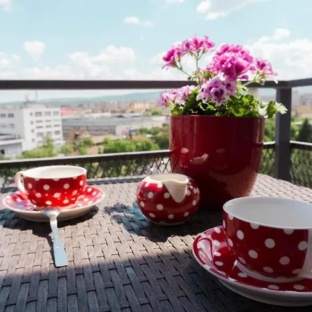 Apartment Sunshine Studio Cluj-Napoca